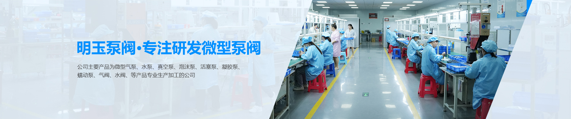 微型泵阀