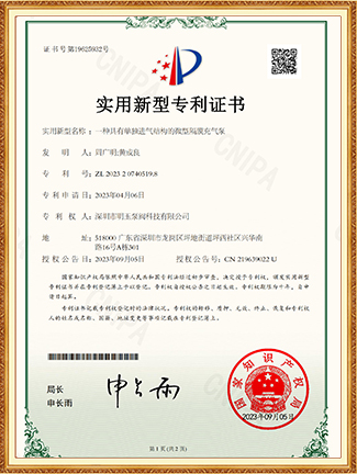 一种具有单独进气结构的微型隔膜充气泵