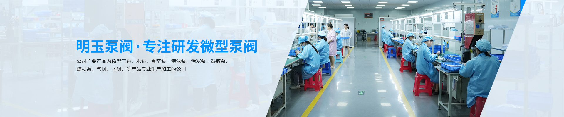 微型泵阀