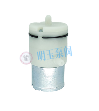 小型泵阀